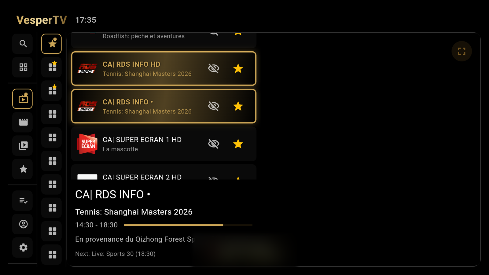 VesperTV's now/next guide: a compact channel list with each row's current programme, and the focused channel's full details underneath.